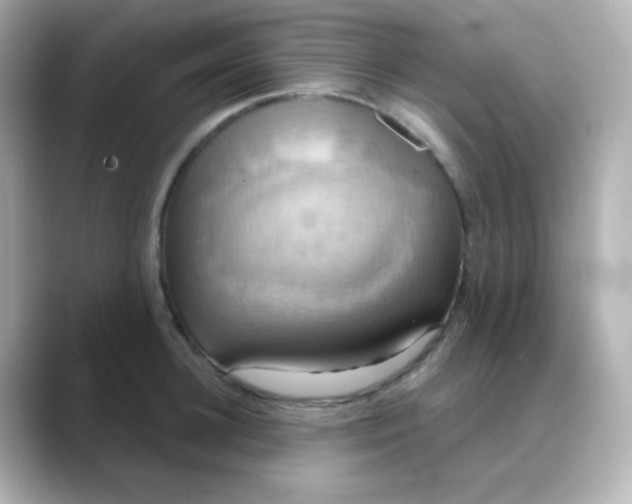 X0000088390948200706051115