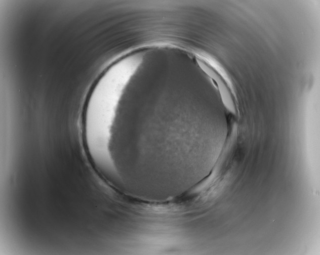 X0000088390951200706051115