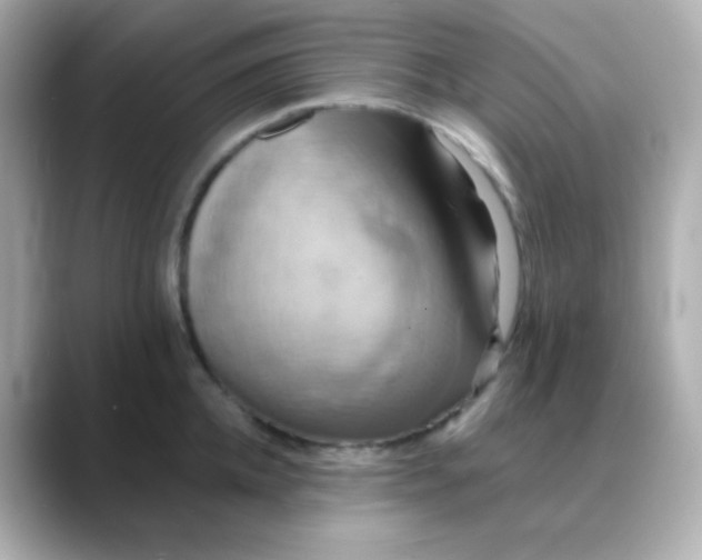 X0000088390952200706051115