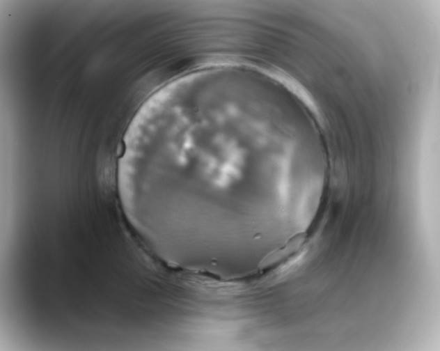 X0000088390953200706051115