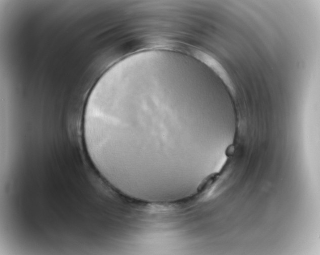 X0000088390954200706051115