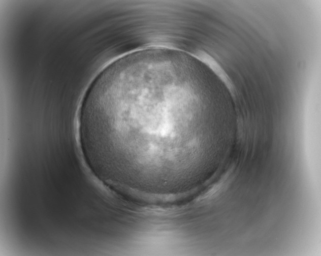 X0000088390955200706051115