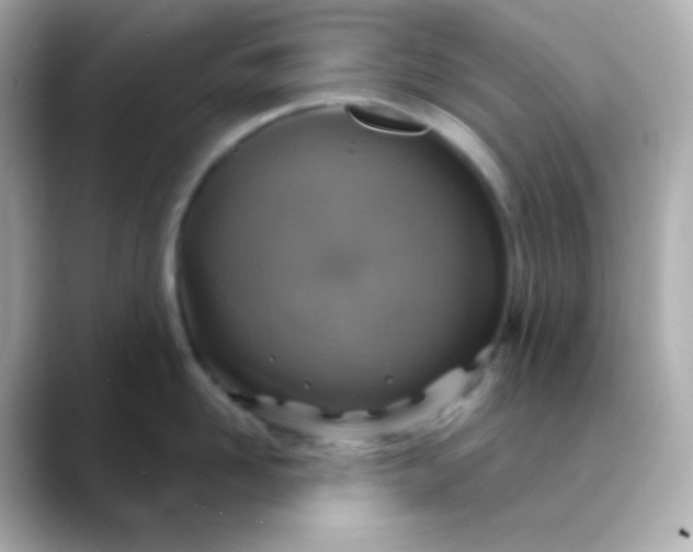 X0000088390958200706051115