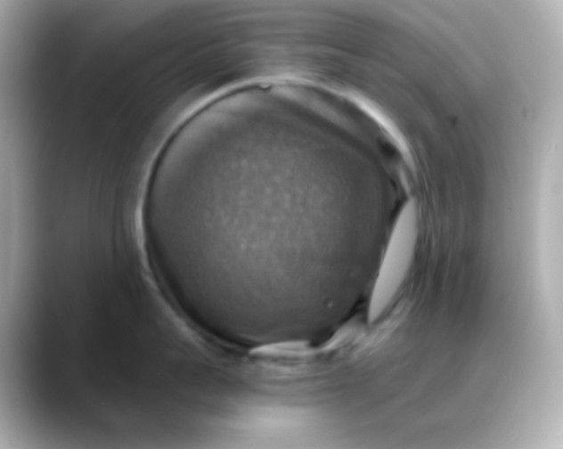 X0000088390959200706051115