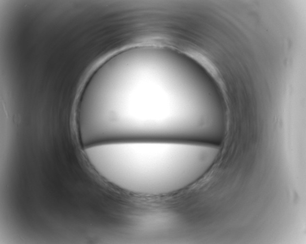 X0000088390960200706051115