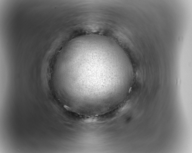 X0000088390961200706051114