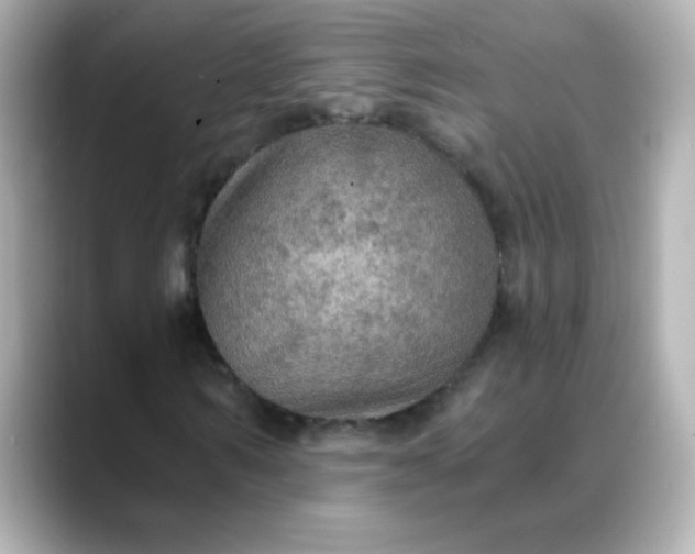 X0000088390962200706051114