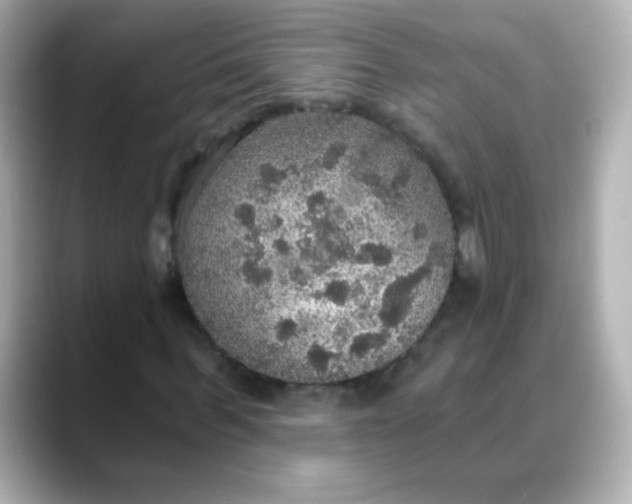 X0000088390963200706051114