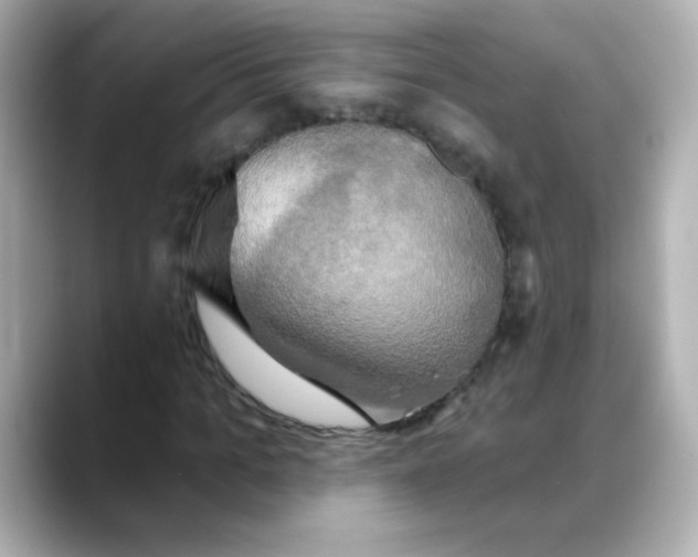 X0000088390965200706051114