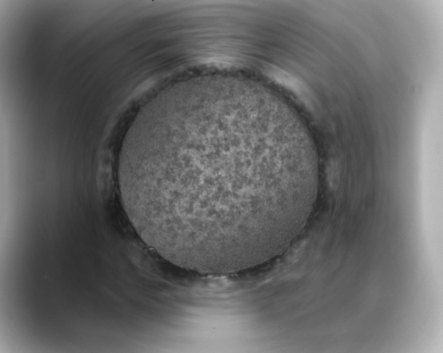 X0000088390968200706051114