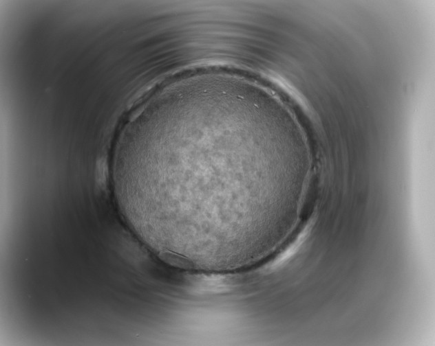 X0000088390969200706051114