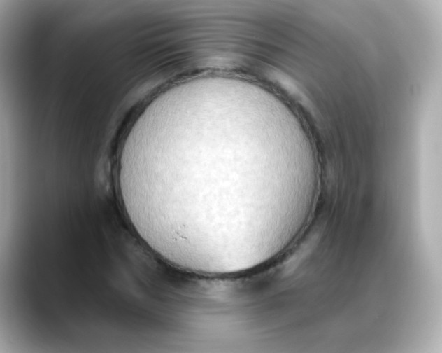 X0000088390970200706051114