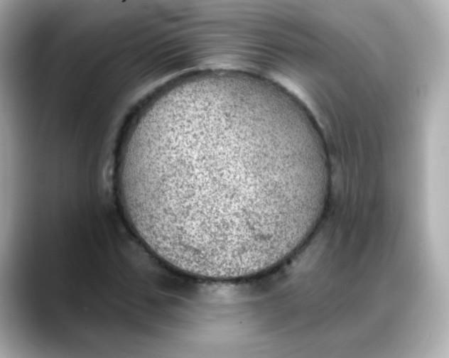 X0000088390971200706051114