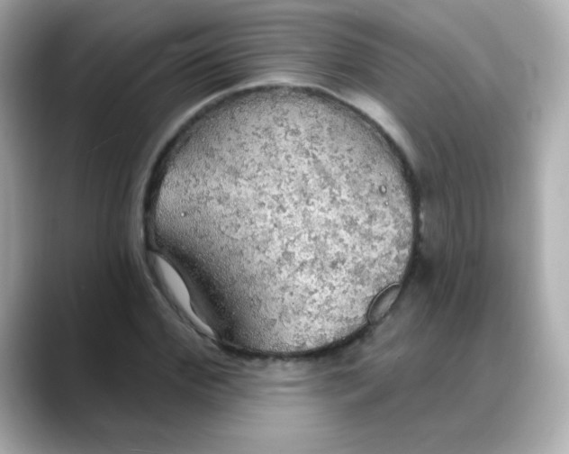 X0000088390972200706051114