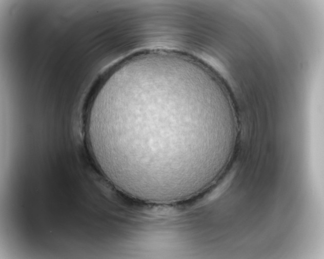 X0000088390974200706051114