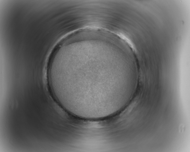 X0000088390976200706051114