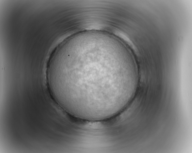 X0000088390978200706051114