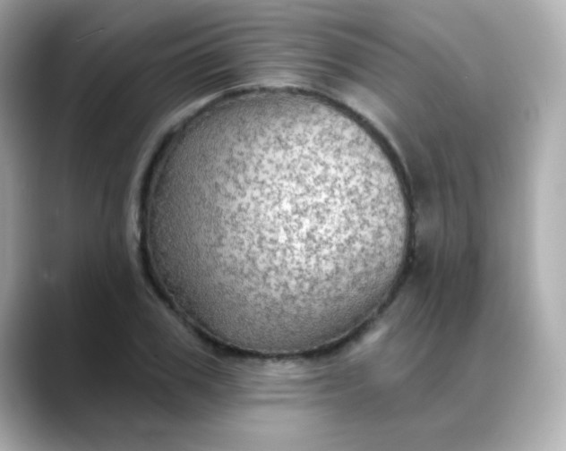 X0000088390979200706051114