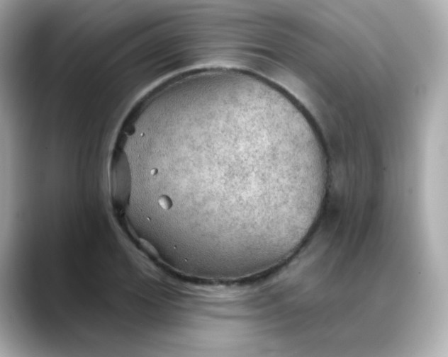 X0000088390980200706051114