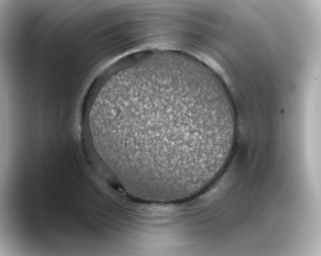 X0000088390981200706051114