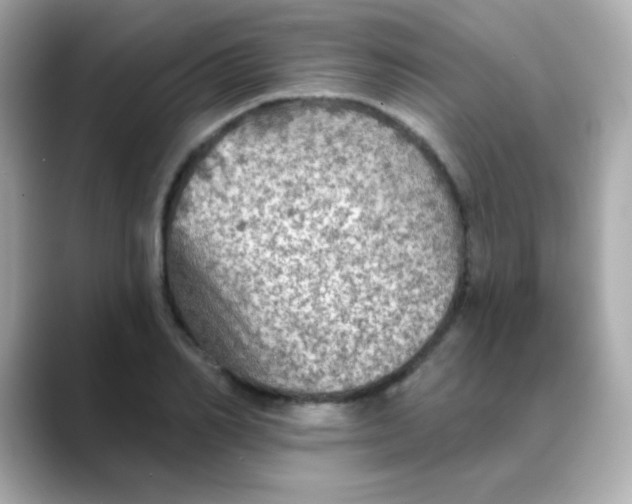 X0000088390982200706051114