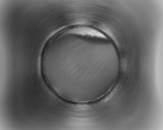 X0000088390983200706051114