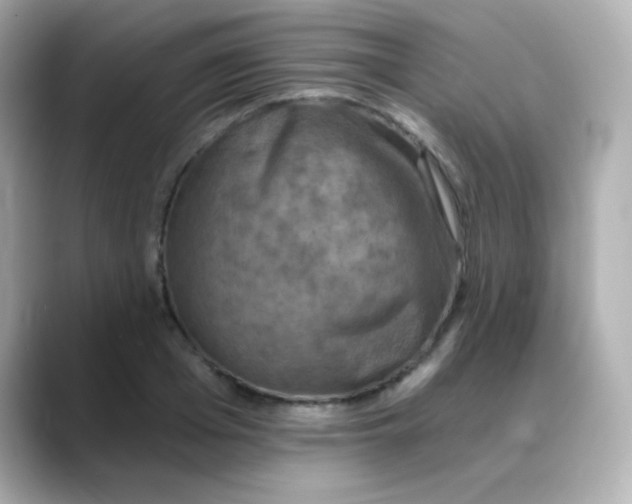 X0000088390985200706051114