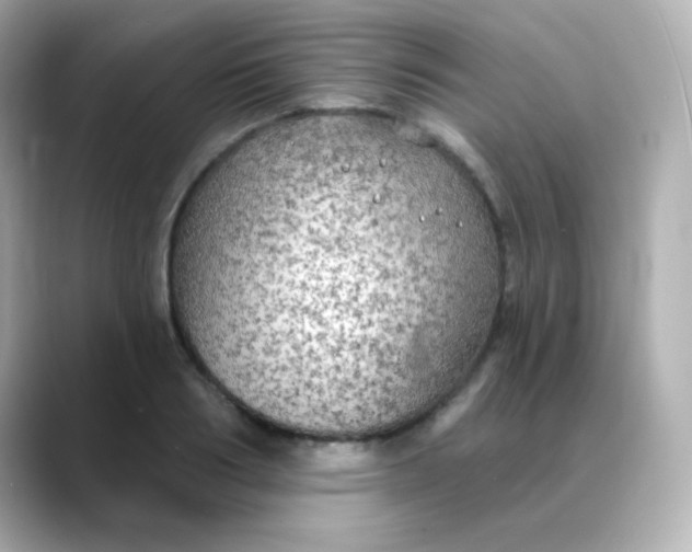 X0000088390986200706051114