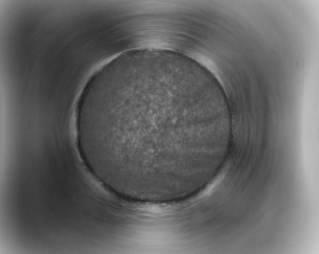 X0000088390987200706051114