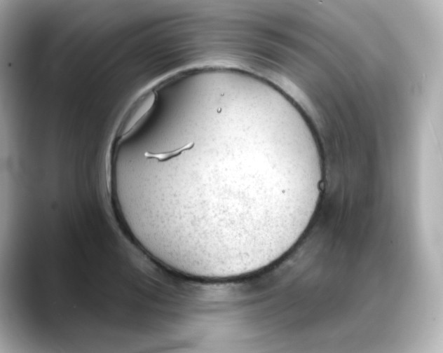 X0000088390988200706051114