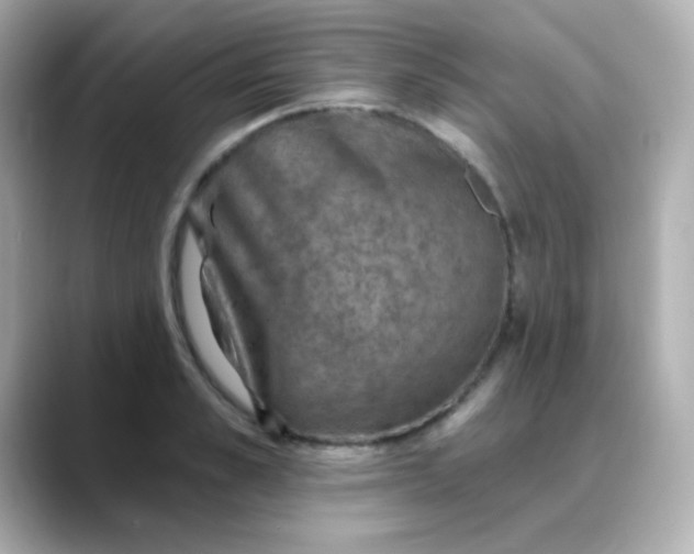 X0000088390989200706051114