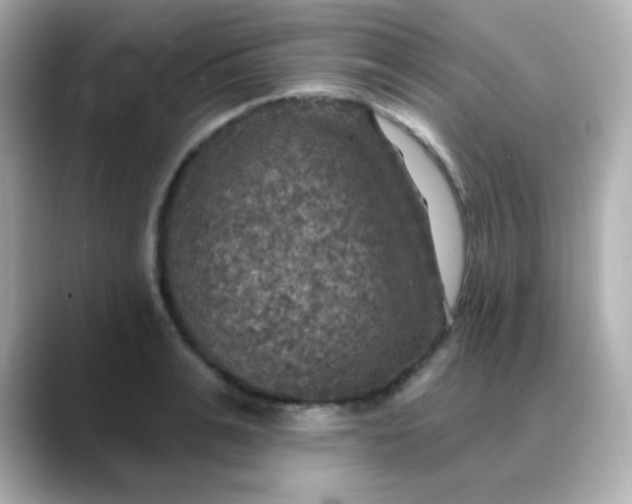 X0000088390991200706051114