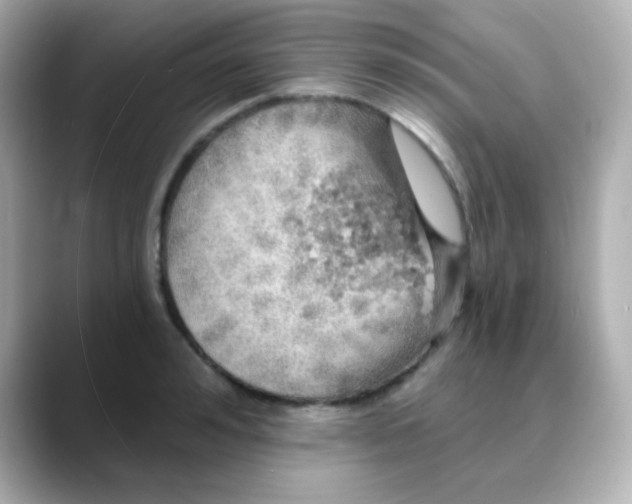 X0000088390992200706051114