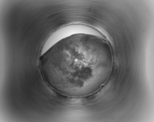 X0000088390993200706051114