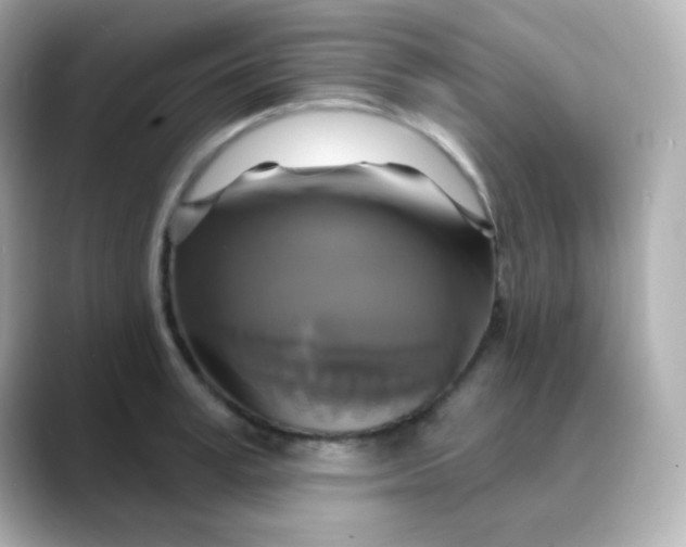 X0000088390995200706051114