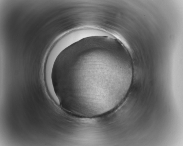 X0000088390996200706051114