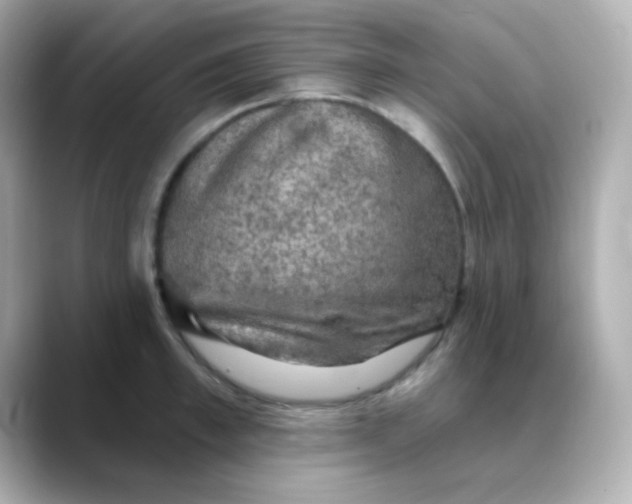 X0000088390997200706051114