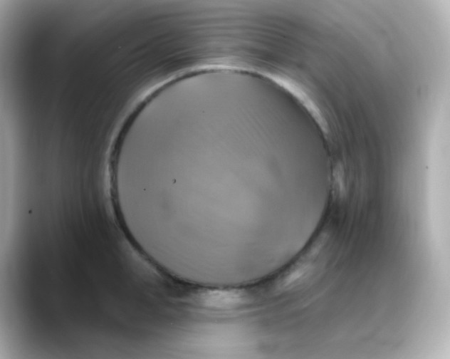 X0000088390998200706051114