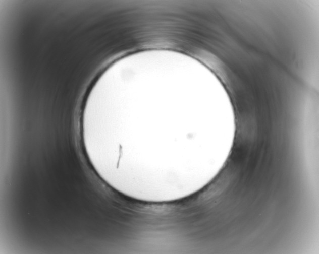 X0000088391000200706051114