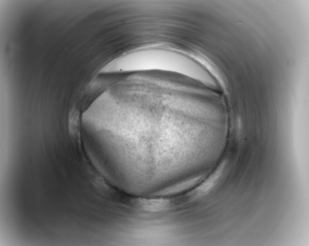 X0000088391001200706051114