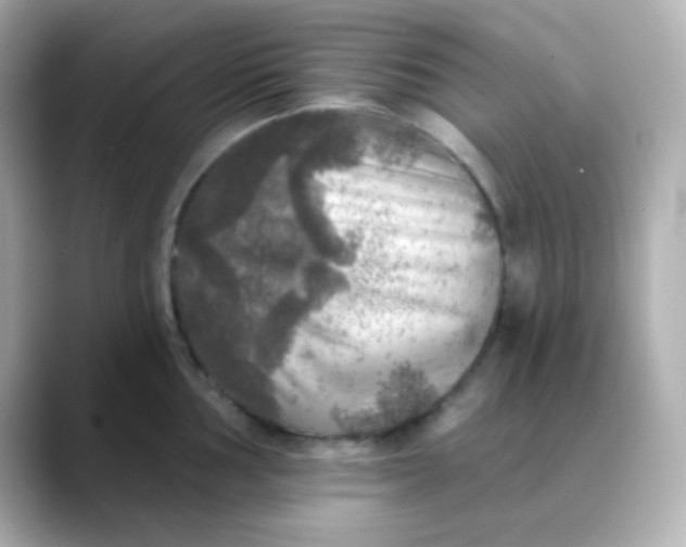 X0000088391002200706051114