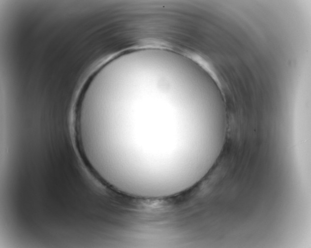 X0000088391003200706051114