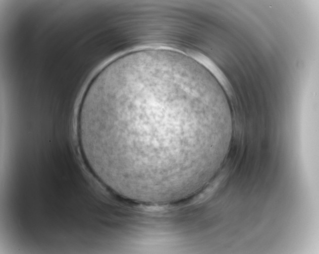 X0000088391004200706051114