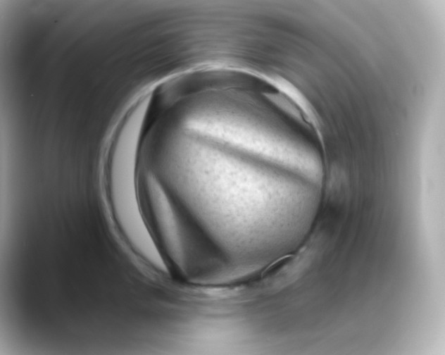 X0000088391005200706051114