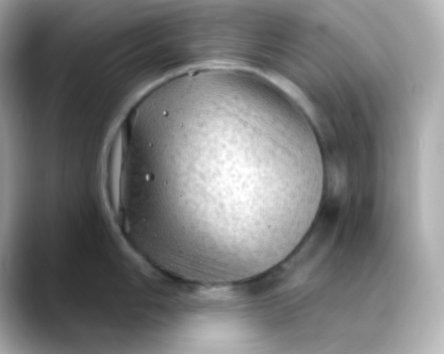 X0000088391006200706051114