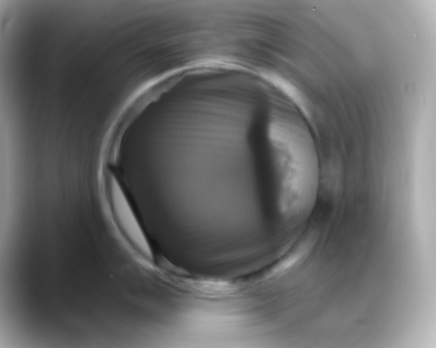 X0000088391007200706051114