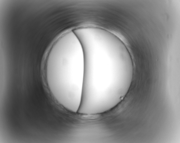 X0000088391008200706051114