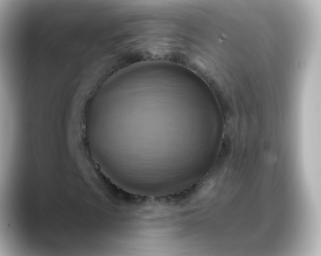 X0000088391009200706051113