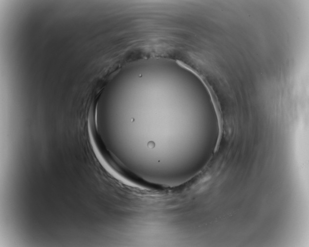 X0000088391010200706051113