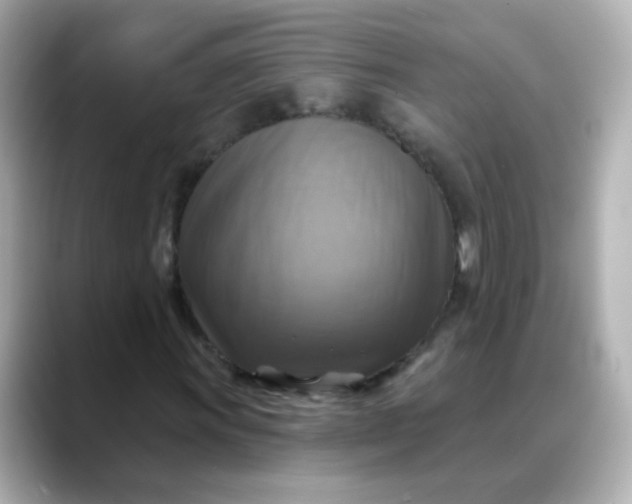 X0000088391011200706051113